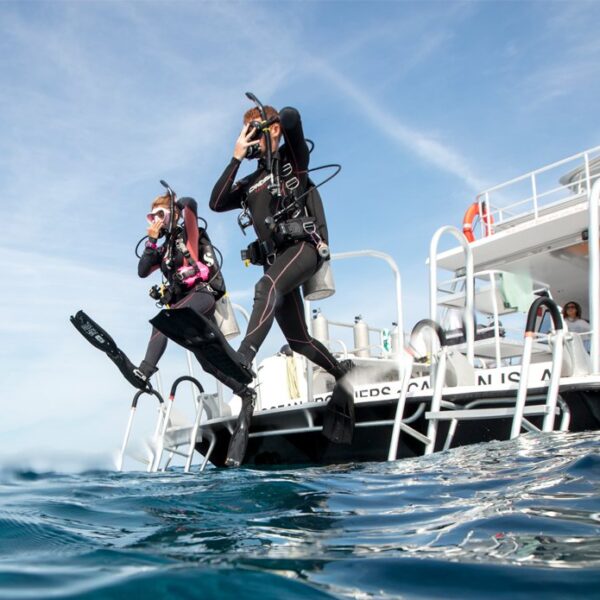 PADI Boat Diver Course featured image