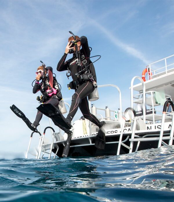 PADI Boat Diver Course featured image