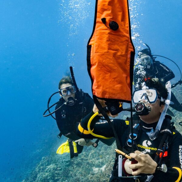 PADI Delayed Surface Marker Buoy Diver featured image