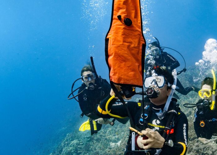 PADI Delayed Surface Marker Buoy Diver featured image