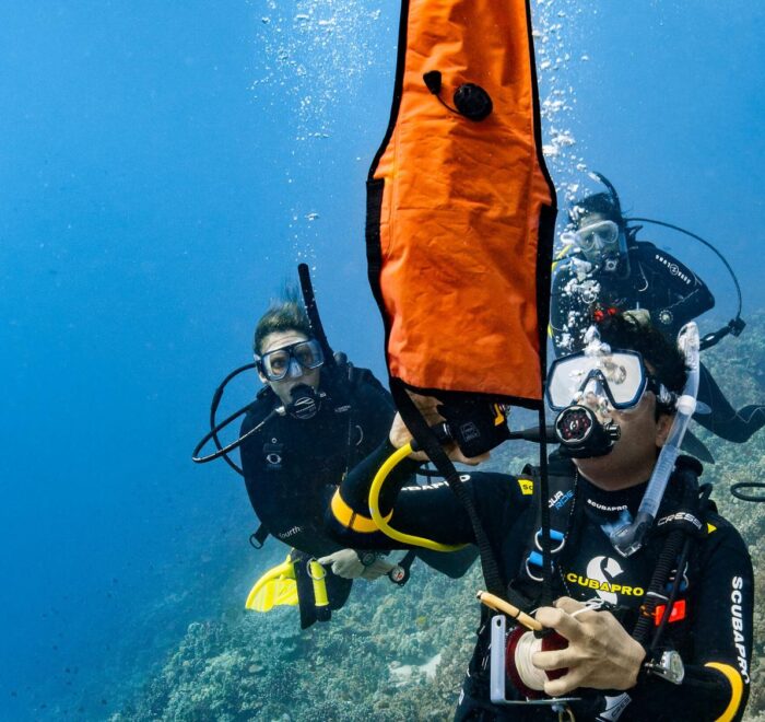 PADI Delayed Surface Marker Buoy Diver featured image