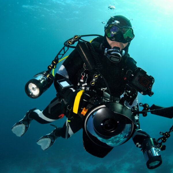 PADI Digital Underwater Photographer Diver Course featured image