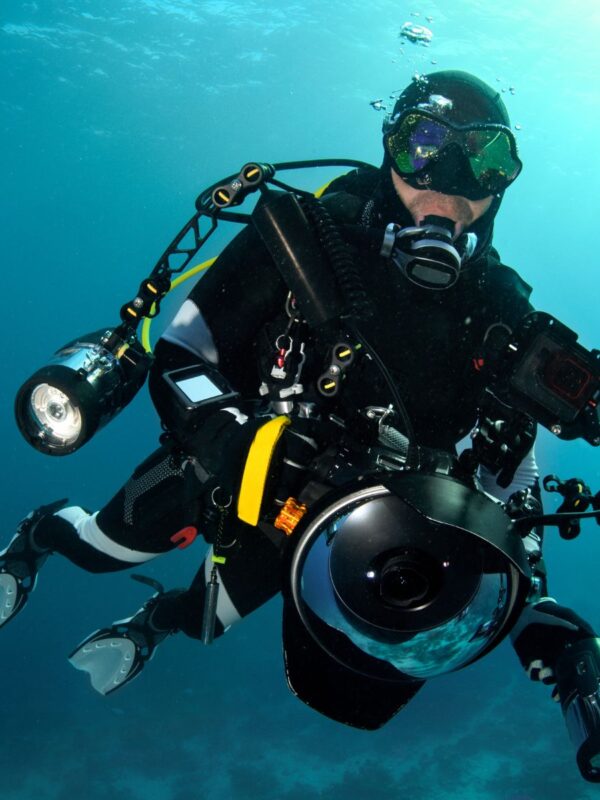 PADI Digital Underwater Photographer Diver Course featured image