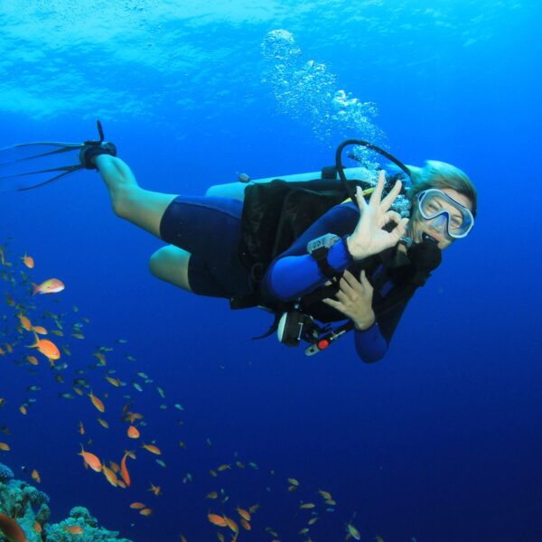 PADI Discover Scuba Diving Featured Image