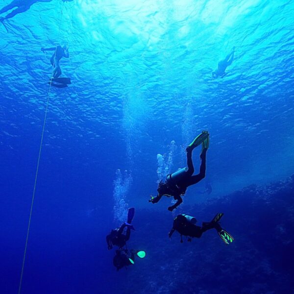 PADI Open Water+Advance Open Water Diver Course Featured Image