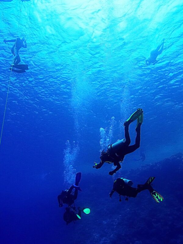 PADI Open Water+Advance Open Water Diver Course Featured Image