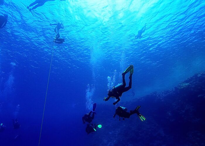 PADI Open Water+Advance Open Water Diver Course Featured Image