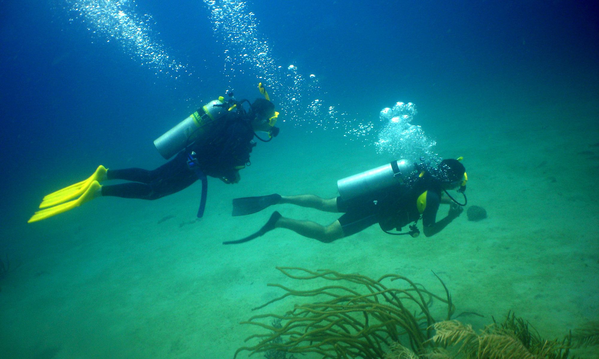 PADI Tec 45 Course - Boracay Scuba Dive @ Fisheye Divers Boracay