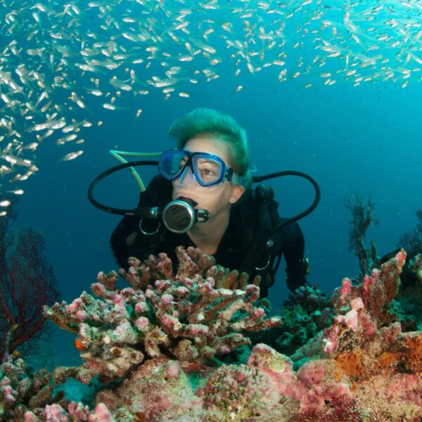 PADI Underwater Naturalist Diver Course featured image