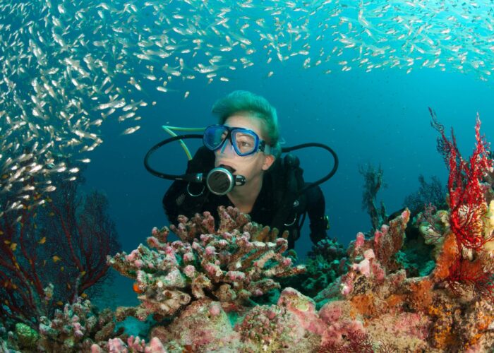 PADI Underwater Naturalist Diver Course featured image