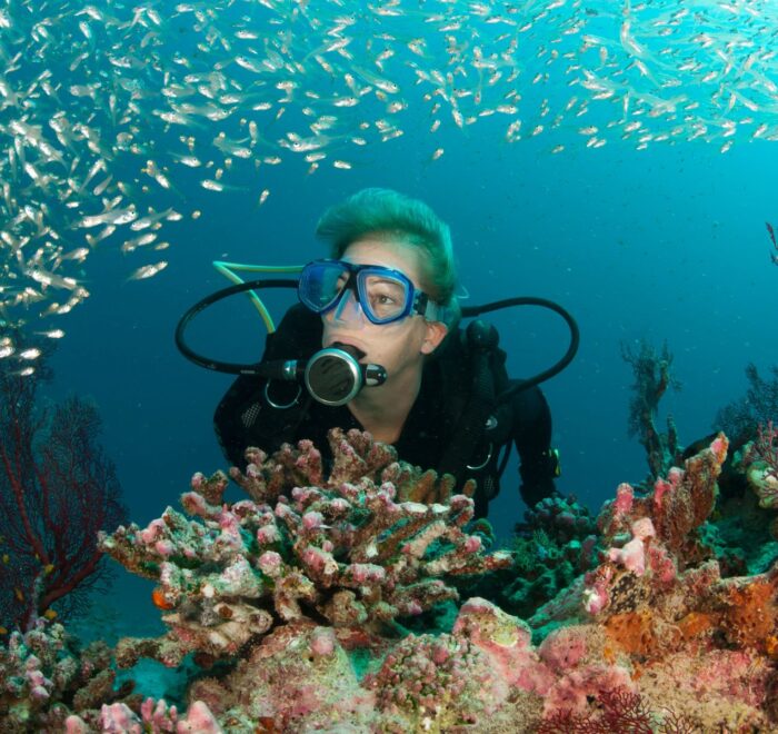 PADI Underwater Naturalist Diver Course featured image